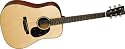 D16 Acoustic Guitar