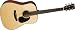 D16 Acoustic Guitar