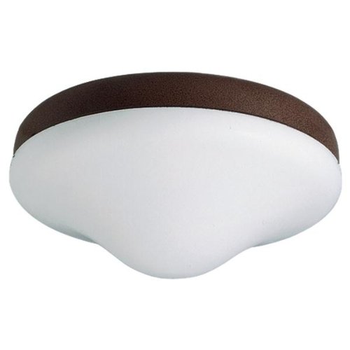 Sea Gull 16149BL-10 Fan Light