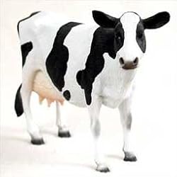 Cow - Cows Farm Animal Figurine
