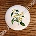 IDAHO MOCK ORANGE FLOWERS DRAWER PULLS KNOBS