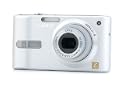 Panasonic DMCFX10EBS