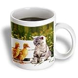 Cats - Kitten and Duck - Mugs