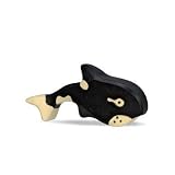Orca Whale