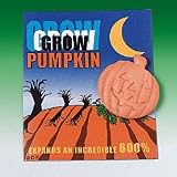 12 Growing Pumpkins
