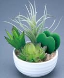寄せ植えラブリー【人工観葉植物】 GREENシリーズ 光触媒 (GG84801-38)