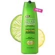 Garnier Fructis Fortifying Shampoo (40 Fl Oz)