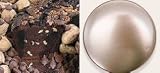 All Star Chocolate 10 Coffee Cake (Gold Gift Tin)