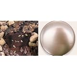 All Star Chocolate 10" Coffee Cake Gold Gift Tin by Boba Tea Direct