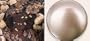 All Star Chocolate 8" Coffee Cake (Gold Gift Tin)