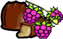 15 Chocolate Raspberry Flavored Java Podz Individually-Wrapped Gourmet Coffee Pods (packed... by Chocolate Tea