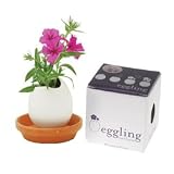 phlox eggling