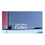 Drive Like A Cullen Vinyl Sticker - White, Twilight Fan Window Decal