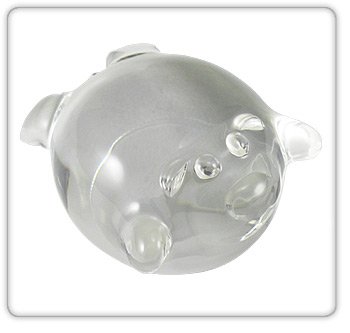 Critter Magnifiers
