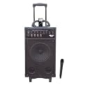 Pyle-Pro PWMA930I 600-Watt VHF Wireless Portable PA System/Echo with iPod Dock