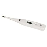 Digital Thermometer with Plastic Storage Case