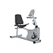 Vision Fitness R1500 Recumbent Exercise Bike with Simple Console