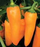 Pepper Seeds - Pepper Park's Orangesicle Hybrid