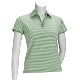 Ashworth Ladies Stripe Knit Polos