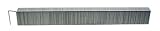 AccuSet A500250 1 4-Inch Length 3 8-Inch Crown 22 Gauge Galvanized Staple