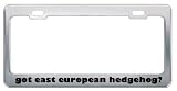 Got East European Hedgehog? Animals Pets Metal License Plate Frame Holder Border Tag
