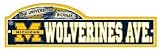 Michigan Wolverines NCAA Street/Zone Sign
