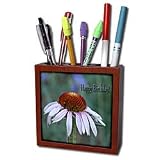 Best Price Beverly Turner Birthday Photography - Purple Cone Flower Happy Birthday - Tile Pen Holders-5 inch tile pen holder