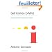 Self Comes to Mind: Constructing the Conscious Brain