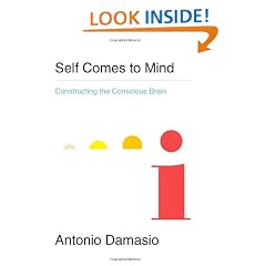 Self Comes to Mind: Constructing the Conscious Brain
