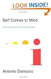 Self Comes to Mind: Constructing the Conscious Brain