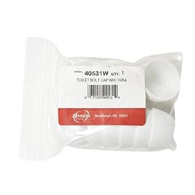 Bg 20: Toilet Bolt Caps (40531W) by Danco Corp.