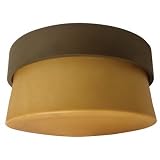 Buy American Fluorescent ARMF1F13RBECT Aria Mini Flush Outdoor Close by American Fluorescent