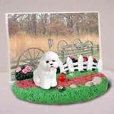 Bichon Frise - Picture Frame with Fence