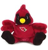 Arizona Cardinals 12" Plush NFL Football Team Mascot Stuffed Animal - NFL Football