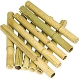 Kimbo Puili Sticks