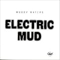 Electric Mud