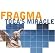 Toca's Miracle