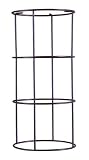 BESA Lighting C4123A-BR Bronze Iona Contemporary / Modern Single Straight Wire Form for the Iona Series from the Iona Collection