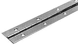 Aluminum and Stainless Steel Continuous Hinges (Stainless steel)