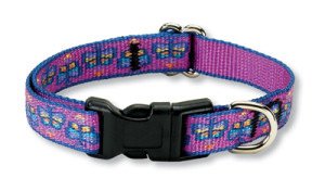 Lupine Adjustable Safety Collars for Cats - 1/2 in. x 8 in. - 12 in. - Flutterby