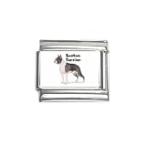 Boston Terrier Italian Charm (9mm)