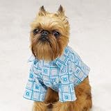 Dog Shirt - Funky Blue Mod Print Dog Shirt - X-Small (XS)