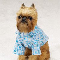 Dog Shirt - Funky Blue Mod Print Dog Shirt - X-Small (XS)