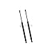 Front HOOD Shocks Gas Charged Lift Supports Dampers - for 2004-2008 Nissan Maxima (Pack of 2 / Pair / 2pc)