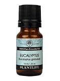Eucalyptus 100% Pure Essential Oil - 10 ml