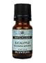 Eucalyptus 100% Pure Essential Oil - 10 ml