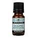 Eucalyptus 100% Pure Essential Oil - 10 ml