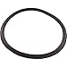Gasket, Harmsco BF55C/105SC/155SC, Tank Lid, Generic