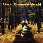 It's a Gnome's World 2009 Wall Calendar