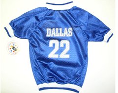 Sports Enthusiast Dallas Football Mesh Dog Jersey (Tiny)